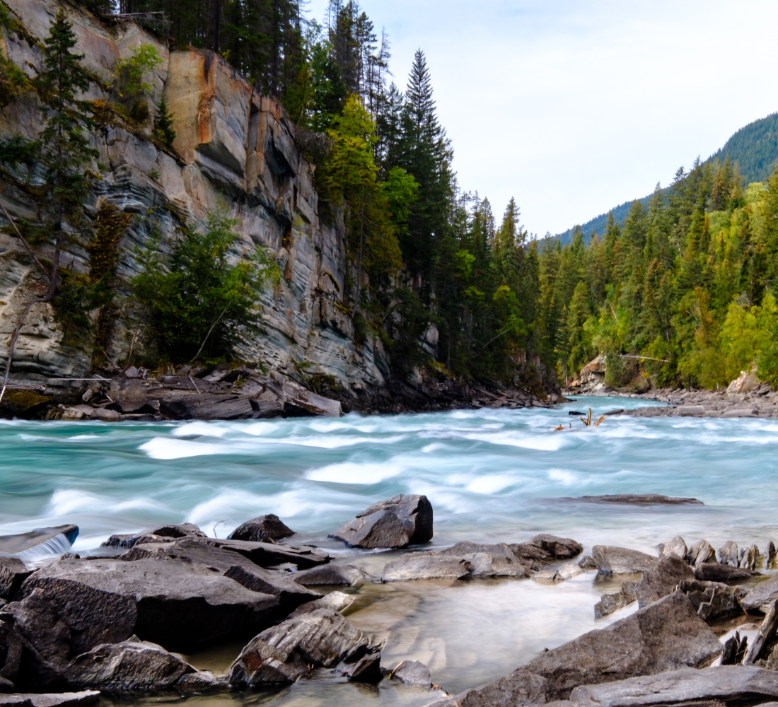 Rivière entourée de falaises et forêt