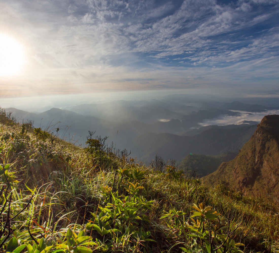 Vue sur montagnes et prairie au lever du soleil