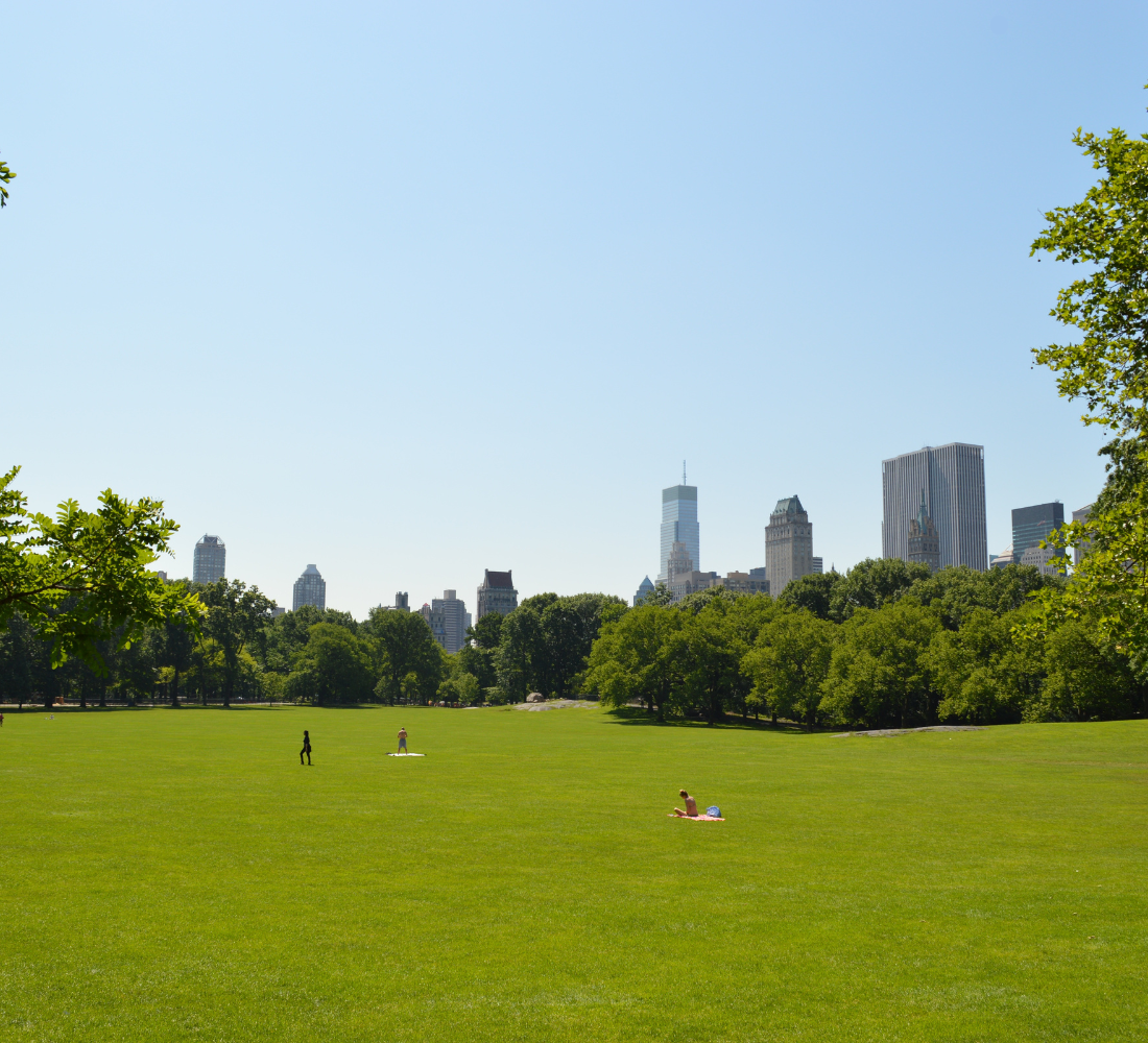 Grand parc urbain avec pelouse et gratte-ciel au loin